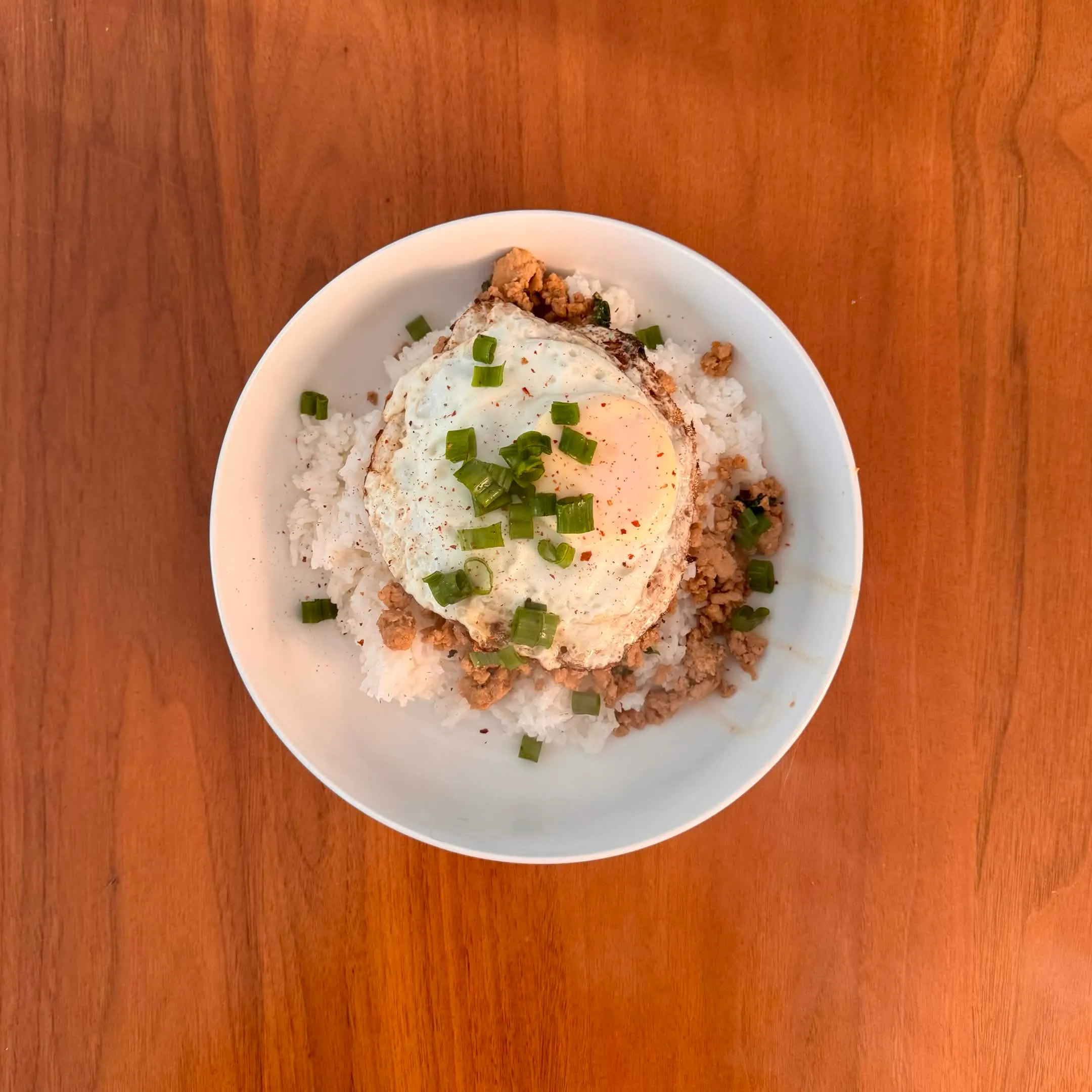 A top-down view of a wide bowl with white rice, ground chicken in a brown sauce, a fried egg centered on top, and a generous scatter of sliced green onions.